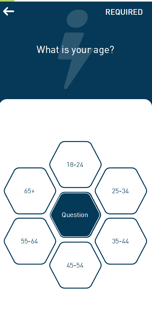 Interactive honeycomb question survey interface